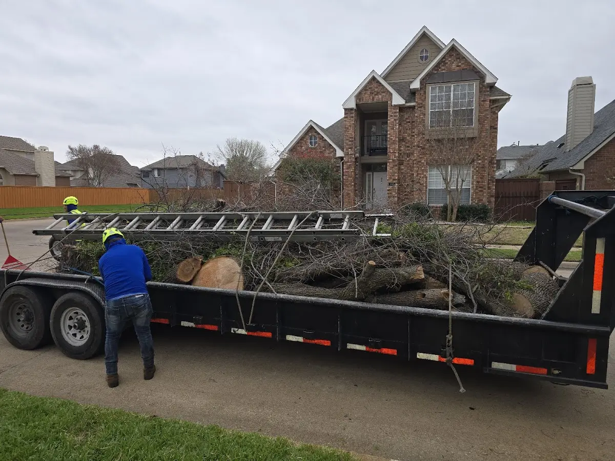 Expert Tree Pest Control with proper safety equipment in Stevenson Ranch